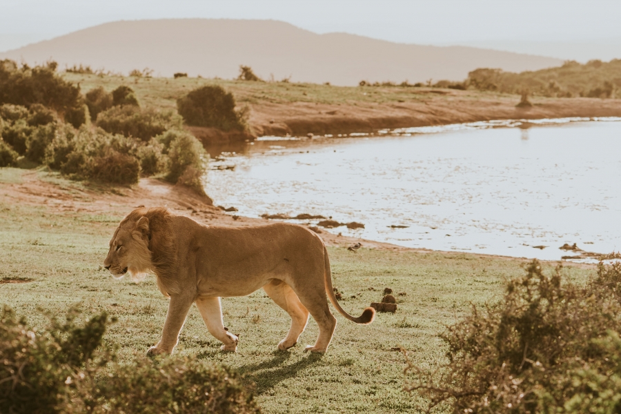 FIH Fotografie » Zuid Afrika